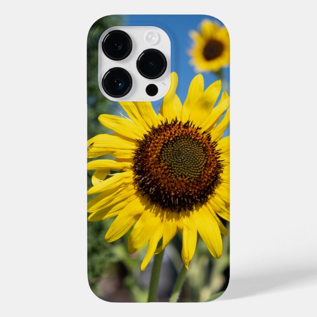 Vibrant Solblommor (Baksida)