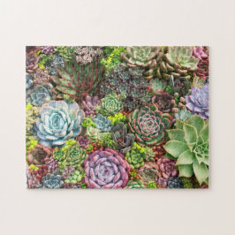 Vibrant Succulent Garden Pussel