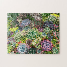 Vibrant Succulent Garden Pussel