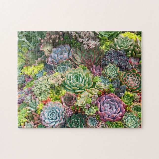 Vibrant Succulent Garden Pussel (Horisontell)