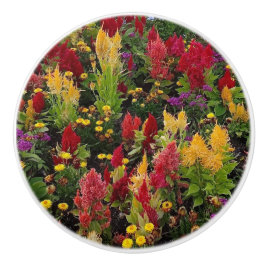 Vibrant Summer Blomsterträdgård i Orlando Florida Knopp