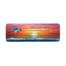Vibrant Sunset Dolphins Jumping Ocean Adress