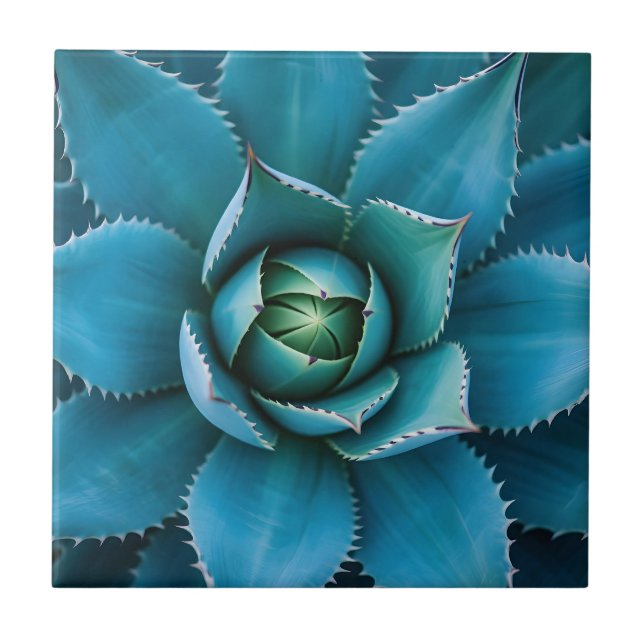 Vibrant Teal Agave Succulent Macro Geometric  Kakelplatta (Framsidan)