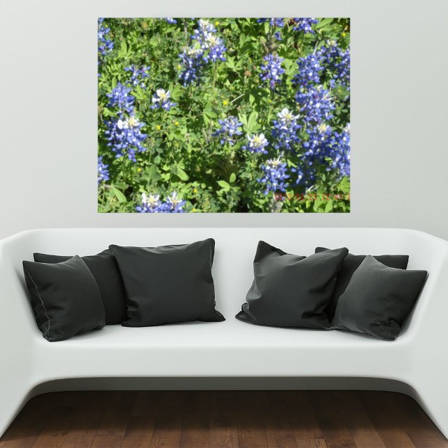 Vibrant Texas Bluebonnet Wall Poster (Skapare uppladdad)