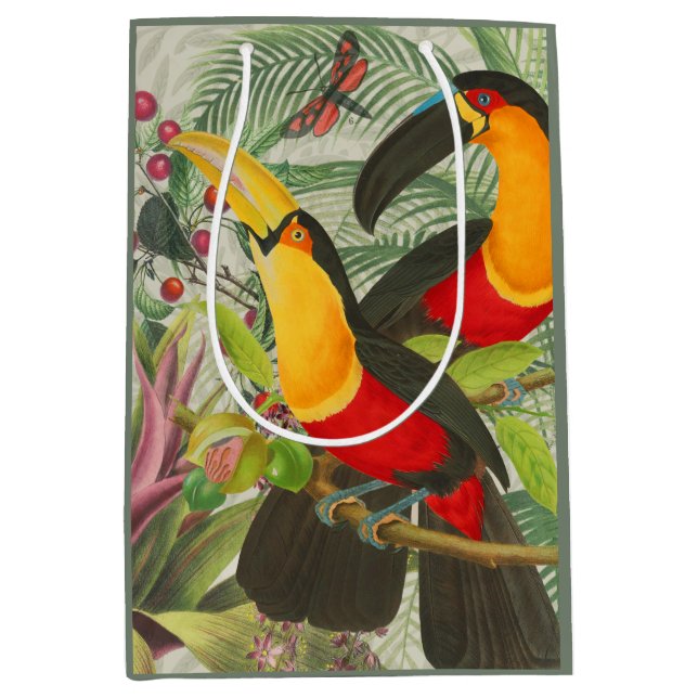 Vibrant Tropical Toucan Birds Art Exotic Jungle (Framsidan)