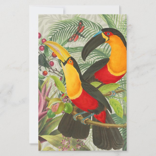 Vibrant Tropical Toucan Birds Art Exotic Jungle (Framsida)