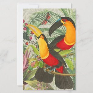 Vibrant Tropical Toucan Birds Art Exotic Jungle