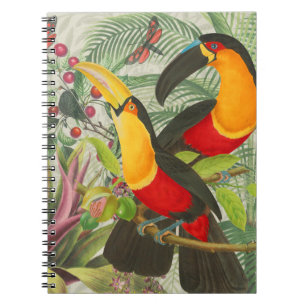 Vibrant Tropical Toucan Birds Art Exotic Jungle Anteckningsbok