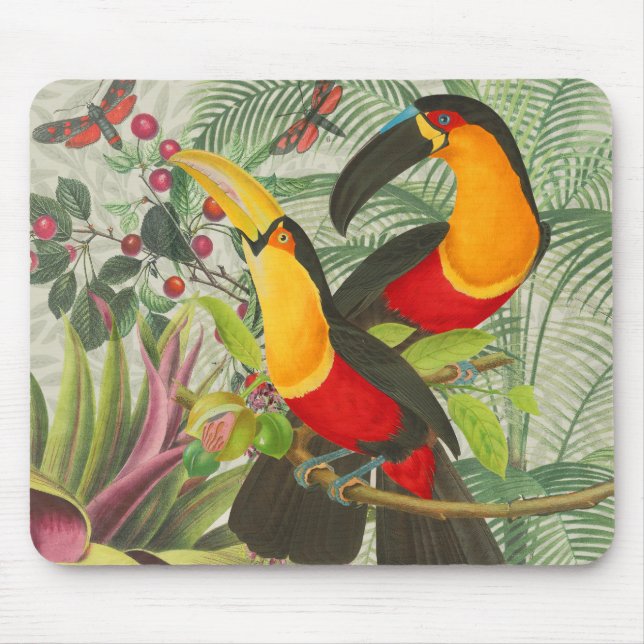 Vibrant Tropical Toucan Birds Art Exotic Jungle Musmatta (Framsidan)