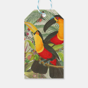 Vibrant Tropical Toucan Birds Art Exotic Jungle Presentetikett
