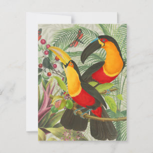 Vibrant Tropical Toucan Birds Art Exotic Jungle Vykort