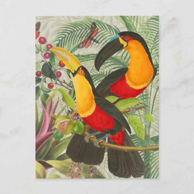 Vibrant Tropical Toucan Birds Art Exotic Jungle Vykort (Framsida)