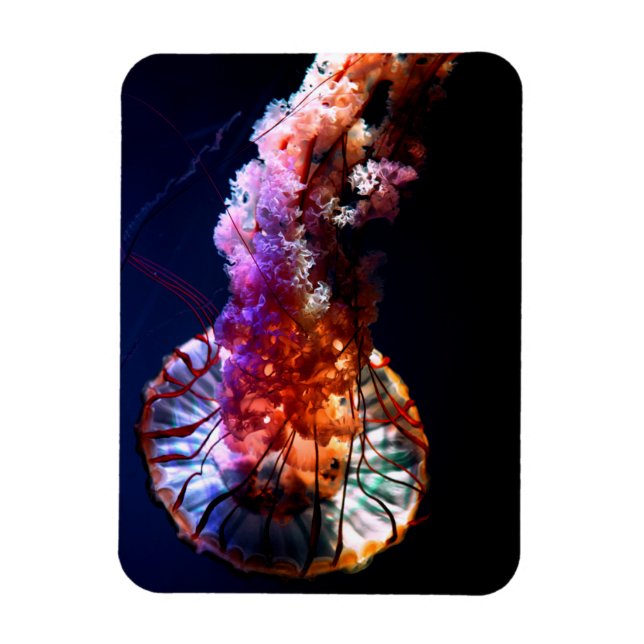 Vibrant tropisk undervattensjellyfisk magnet (Vertikal)