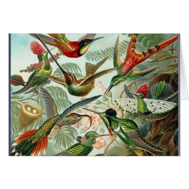 Vibrant Vintage hummingbird art exotic tropical Hälsningskort (Framsidan Horizontal)