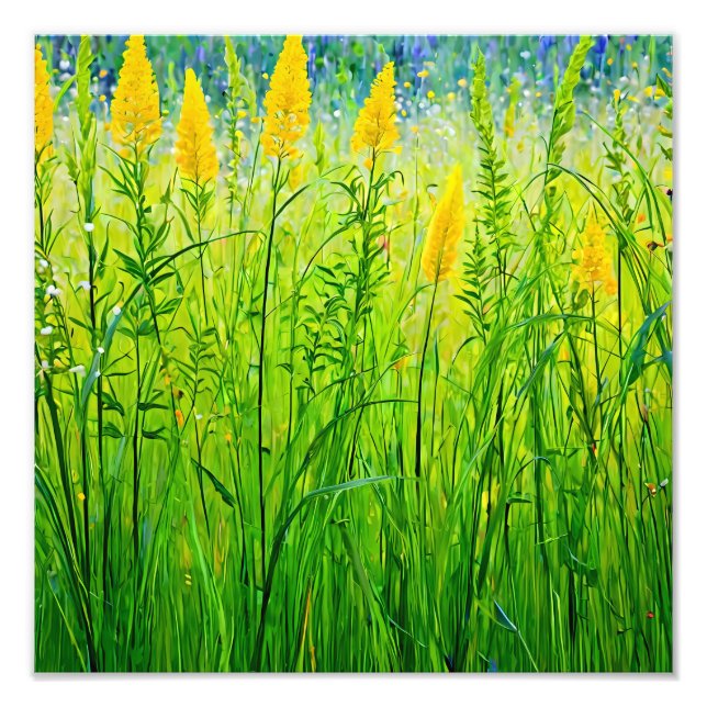 Vibrant Wildblommor i Sol sommaren Fototryck (Framsidan)