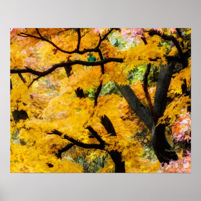 Vibrant Zen Garden Poster (Framsidan)