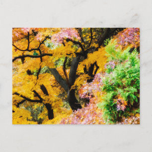 Vibrant Zen Garden Vykort