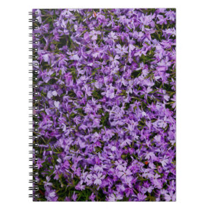 Vibranta vårphloxblommor – Naturlig blomfotografi Anteckningsbok