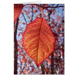 Vibrerande begåvning hälsningskort