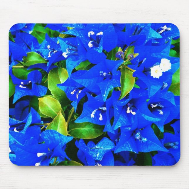 Vibrerande blåttBougainvilleablommor Musmatta (Framsidan)