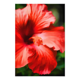 Vibrerande röd hibiskusillustration fototryck