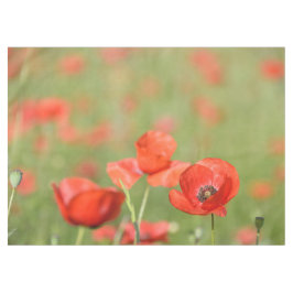 Vibrerande röda vallmor i ett grönt vallmofält