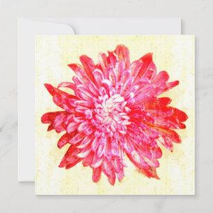 Vibrerande rosa chrysanthemumblomma julkort
