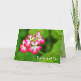Vibrerande rosa hälsningkort för pelargoner | kort
