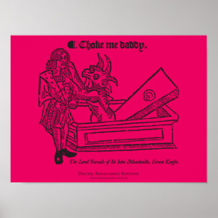 Vicens stödraster poster