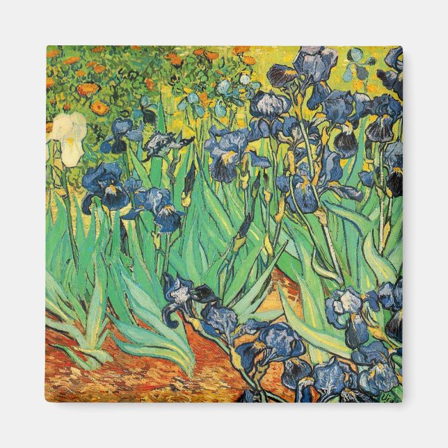 Vicent van Gogh, Irisar Magnet (Framsidan)