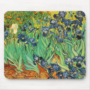 Vicent van Gogh, Iriserar Musmatta