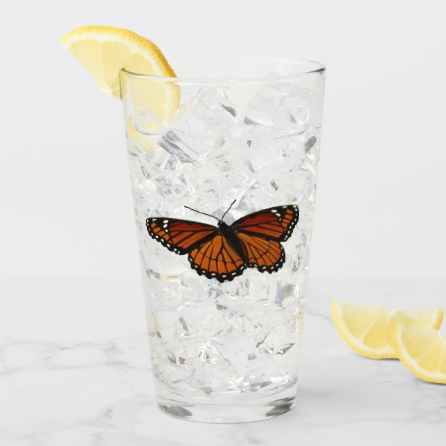 Viceroy Fjäril Vacker Natur Fotografi Glaskopp (Framsida Ice)