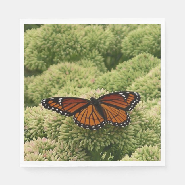 Viceroy Fjäril Vacker Natur Fotografi Pappersservett (Framsidan)