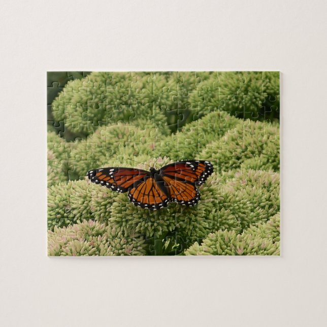 Viceroy Fjäril Vacker Natur Fotografi Pussel (Horisontell)
