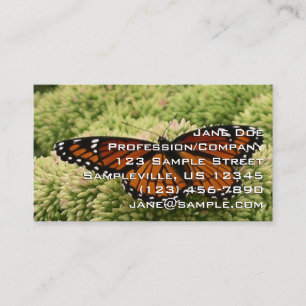 Viceroy Fjäril Vacker Natur Fotografi Visitkort