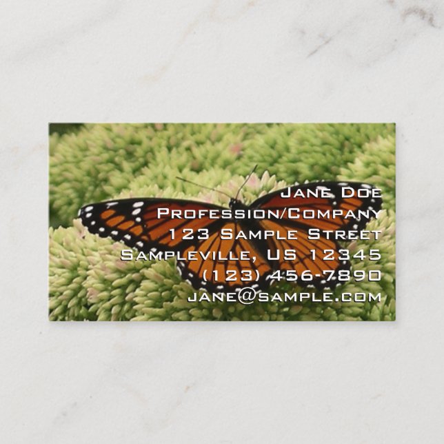 Viceroy Fjäril Vacker Natur Fotografi Visitkort (Framsida)