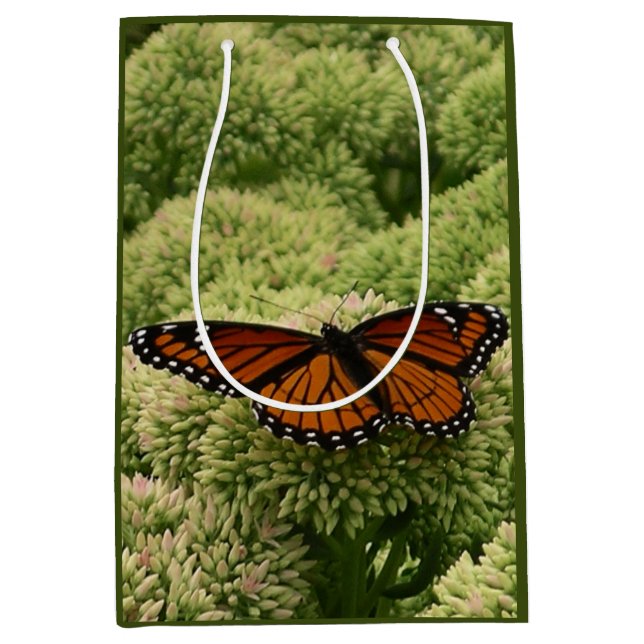 Viceroy Fjäril Vacker Naturfotografering (Framsidan)