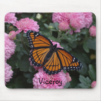 Viceroy Musmatta