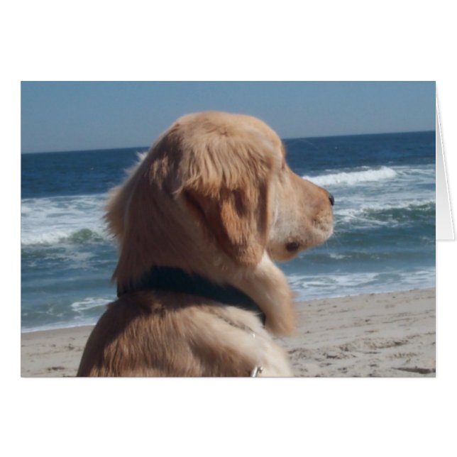 Viceroy på stranden hälsningskort (Framsidan Horizontal)