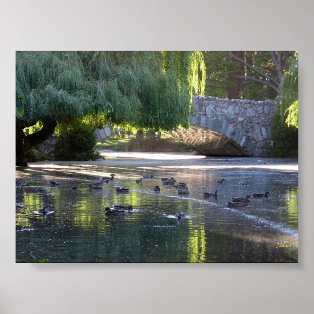 Victoria, B.C. Poster (Framsidan)