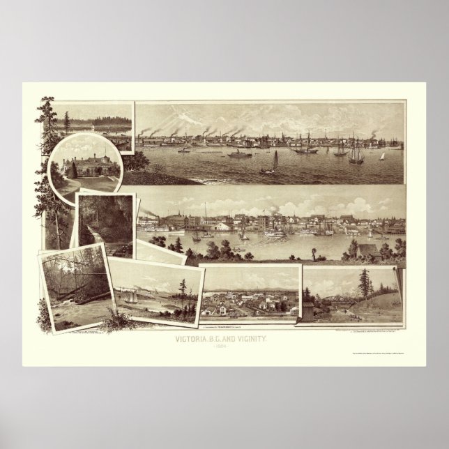 Victoria, BC, Canada Panoramic Karta - 1884 Poster (Framsidan)