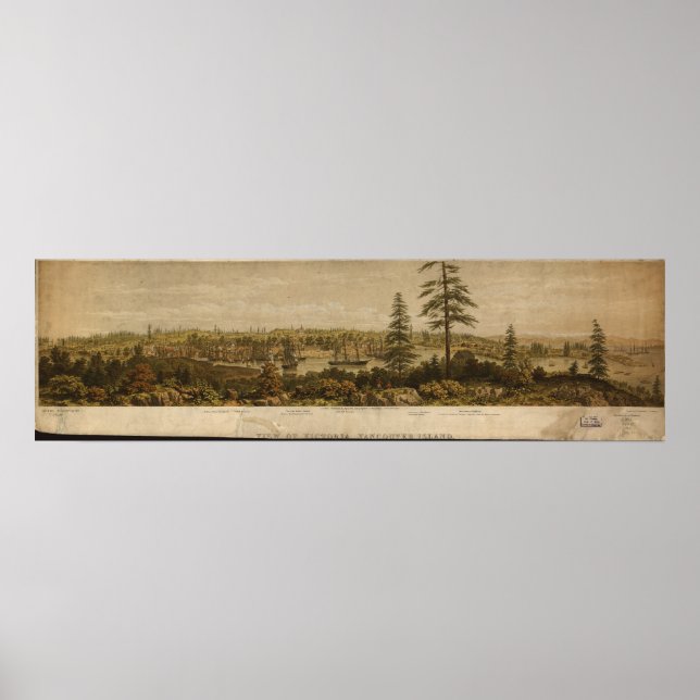 Victoria British Columbia 1860 Antique Panorama Poster (Framsidan)