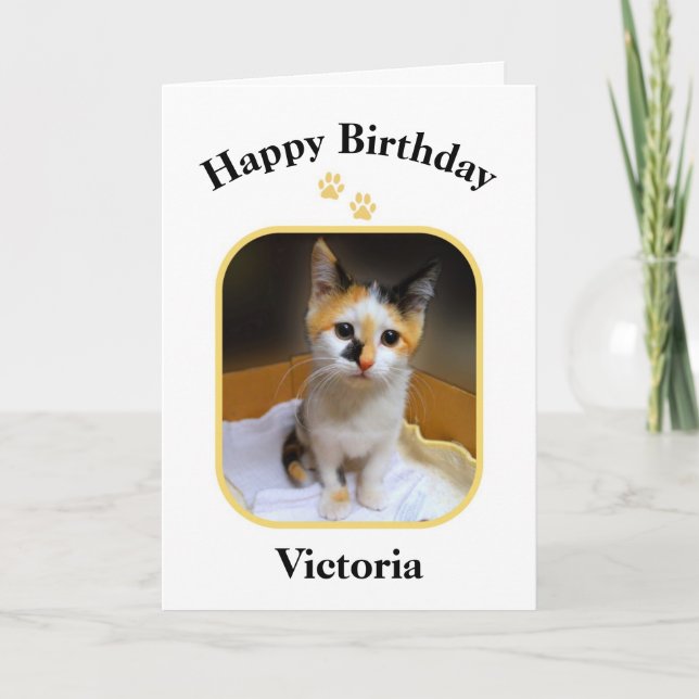 Victoria Calico Kitten Grattis på födelsedagen Kort (Framsida)