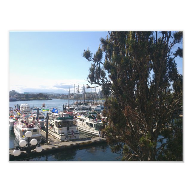 Victoria Harbor Fototryck (Framsidan)