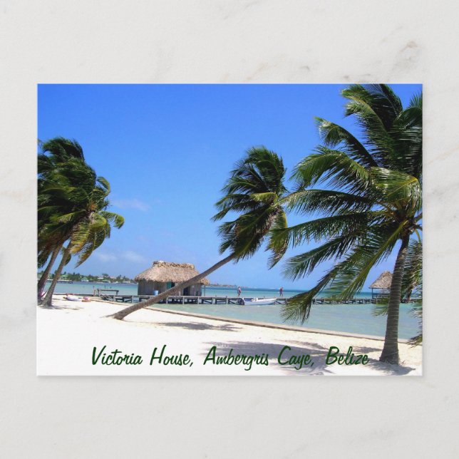Victoria House Ambergris Caye Belize Postcard Vykort (Framsida)