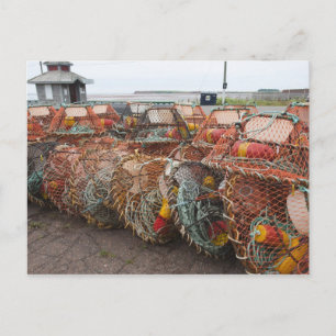 Victoria, Prince Edward Island. Krabbfällor Vykort