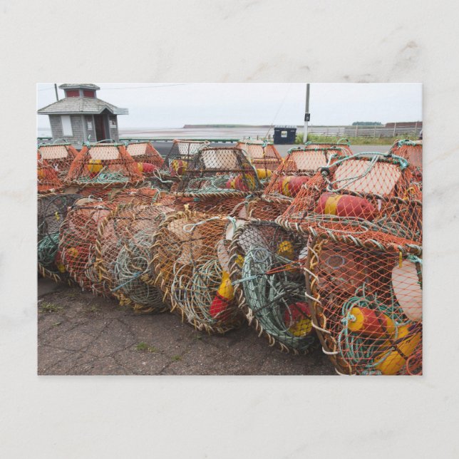 Victoria, Prince Edward Island. Krabbfällor Vykort (Framsida)