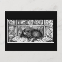 Victorian Bibliotek Cat Vykort