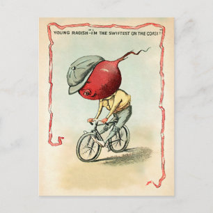 Victorian Bike Radish Postcard Vykort