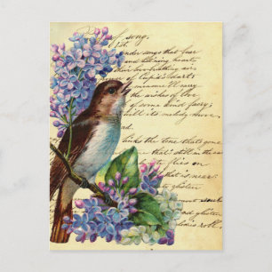 Victorian Bird and Typography I Vykort